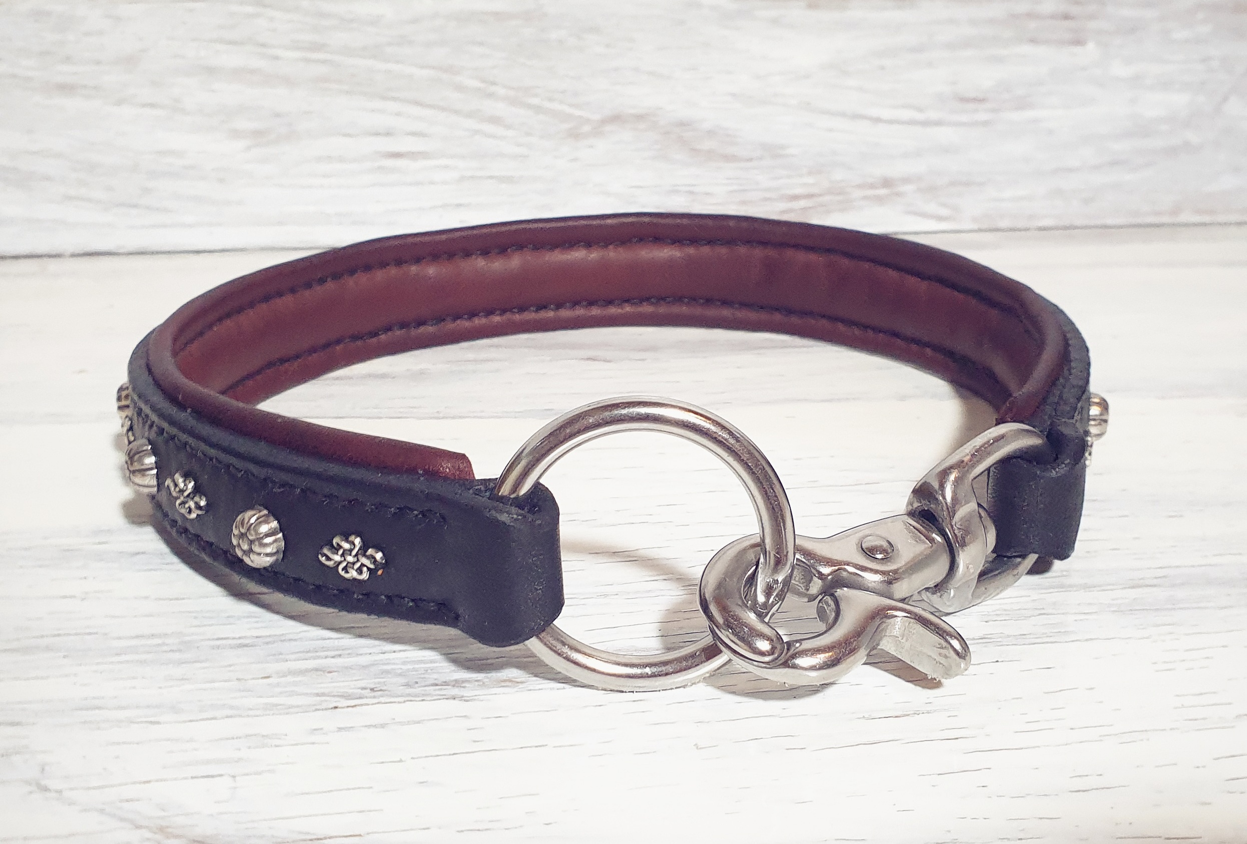 Hundehalsband Armour – Bild 2