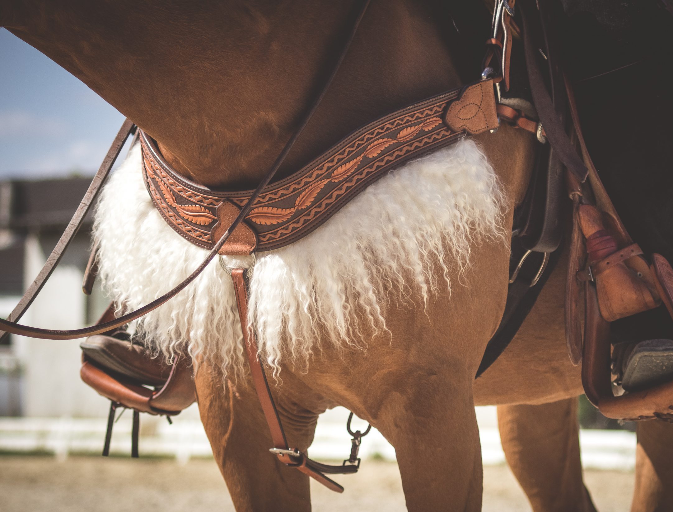 Western Breast Collar - Western Vorderzeug