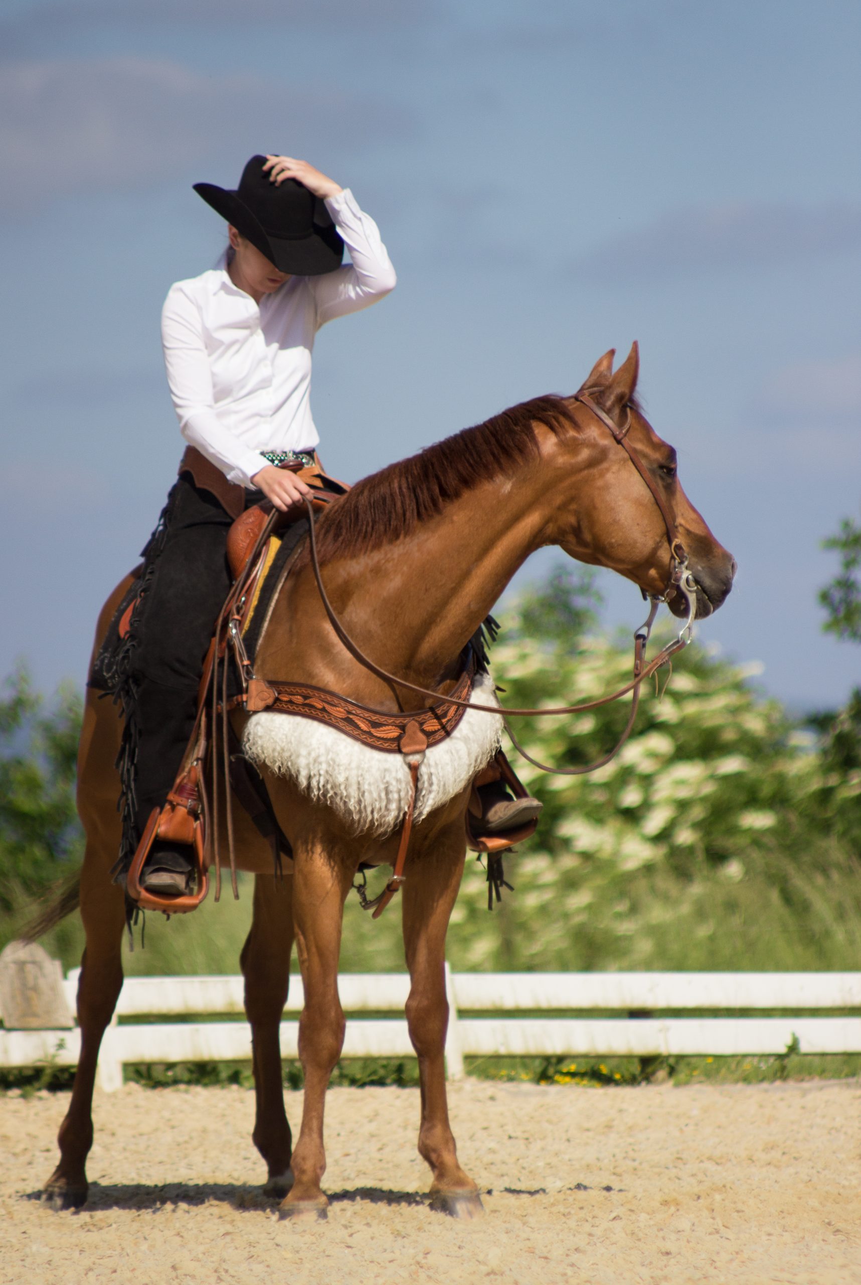 Western Breast Collar - Western Vorderzeug – Bild 2