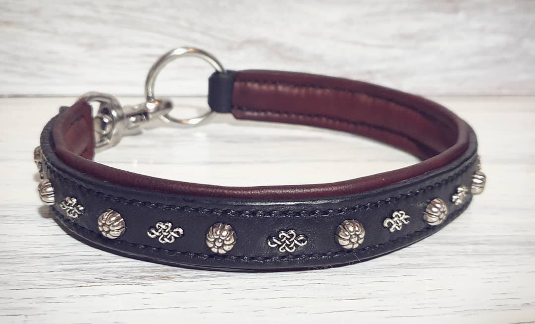 Hundehalsband Armour – Bild 4