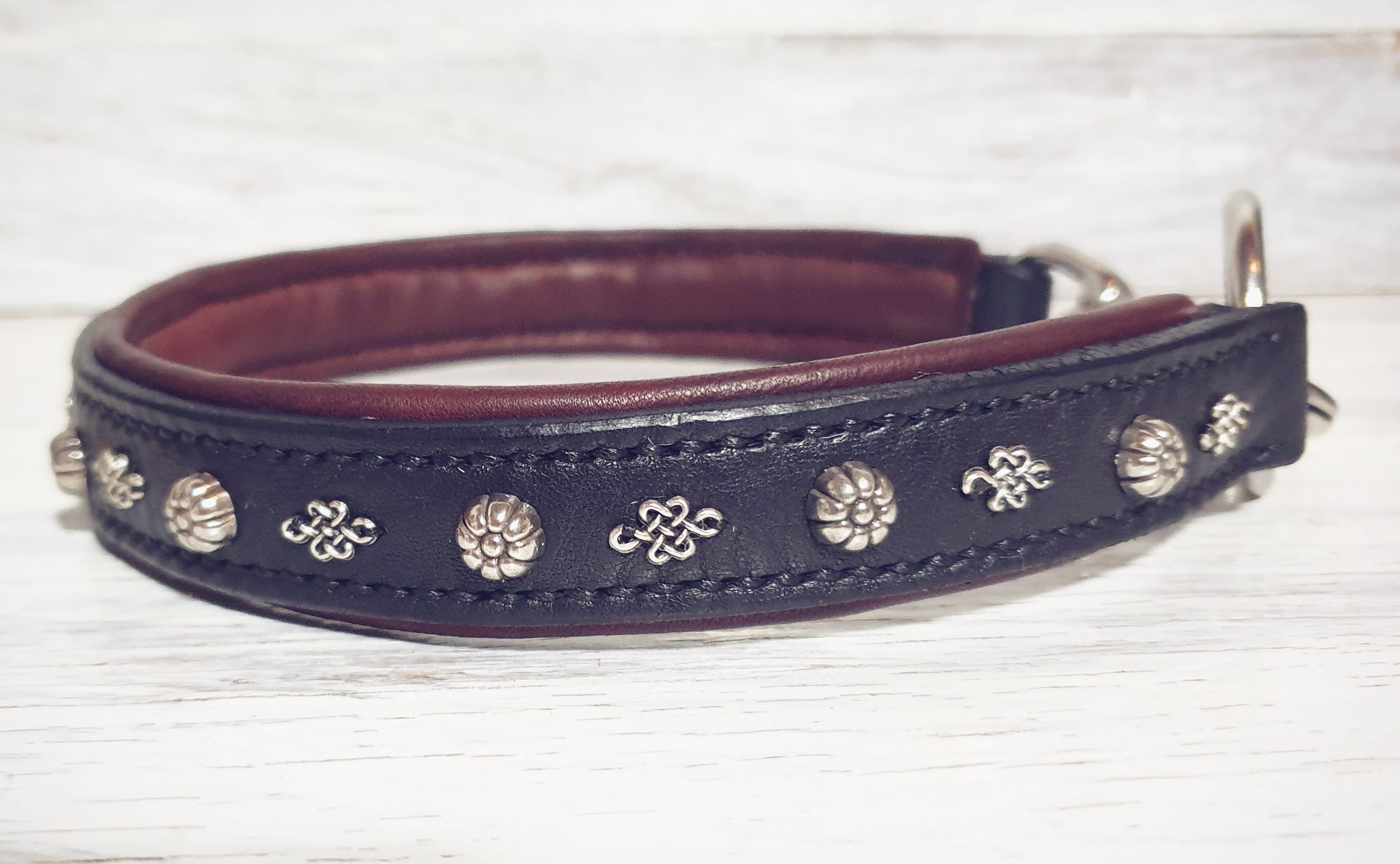 Hundehalsband Armour – Bild 3